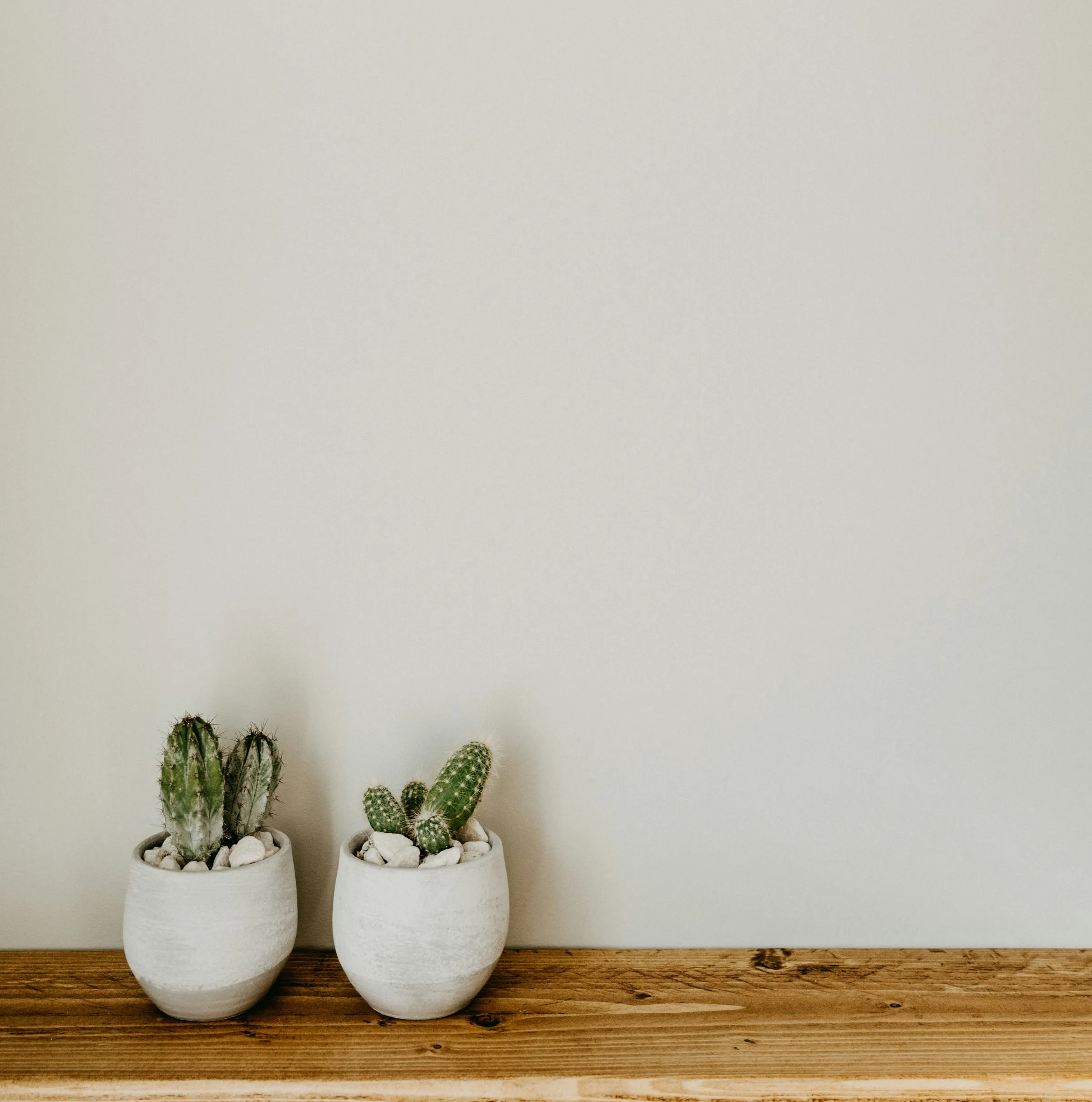 The Poolbeg board on a pale wall above a wooden shelf with two small cacti.